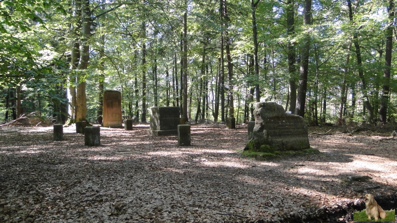 Ritterstein Nr. 289-4 Hier befand sich das Landgericht auf dem Stampe - Gerichtsstätte der Grafen von Leiningen.JPG - Ritterstein Nr.289 Hier befand sich das Landgericht auf dem Stampe - Gerichtsstätte der Grafen von Leiningen